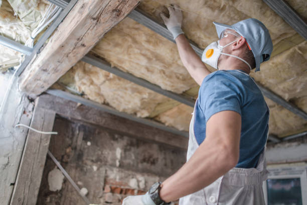 Best Insulation for New Construction  in Woodfield, SC